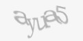 Beveiligingscode