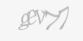 Beveiligingscode